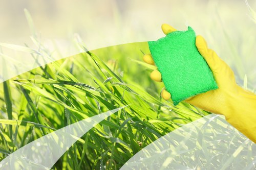 Carpet cleaning pricing overview for SW17 homes