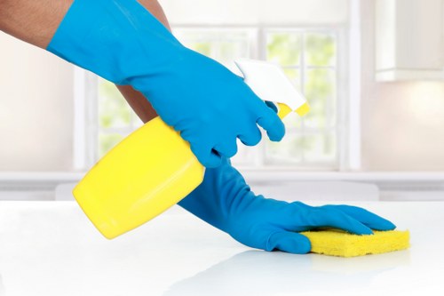 Oven cleaner in SW17 completing a detailed kitchen appliance deep clean