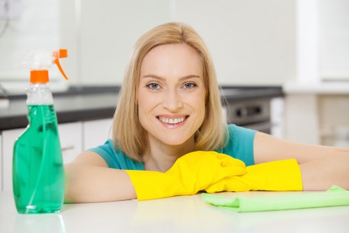Carpet cleaning service introduction in SW17