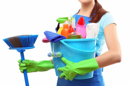 Deep cleaning a bathroom during domestic cleaning services in SW17