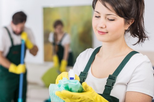 Bathroom sanitation during one off cleaning in SW17