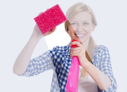 Professional carpet cleaning process and inspection
