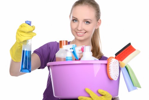 Terms and conditions for a carpet cleaning service