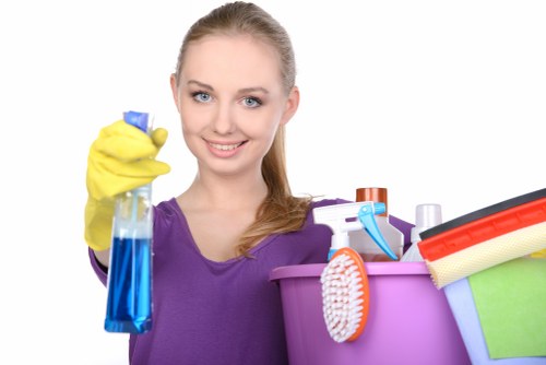Reliable cleaner in SW17 sanitising a bathroom